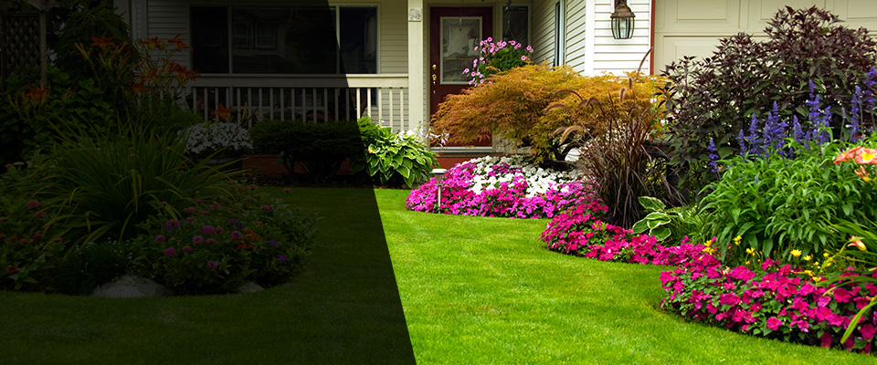 Central Falls Landscapers