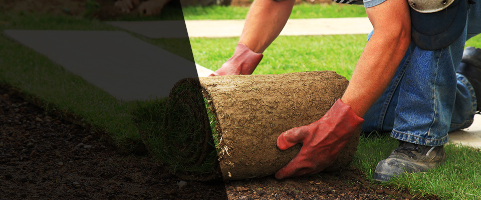 Central Falls Landscapers